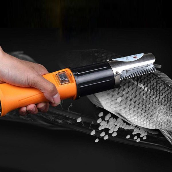 Fish scaler